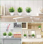Artificial Potted Plant – Desktop & Shelf Décor for Home or Office