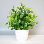 Artificial Potted Plant – Desktop & Shelf Décor for Home or Office